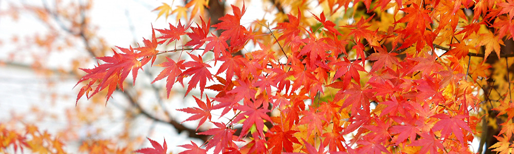 広島県警備業協会 組合員企業一覧