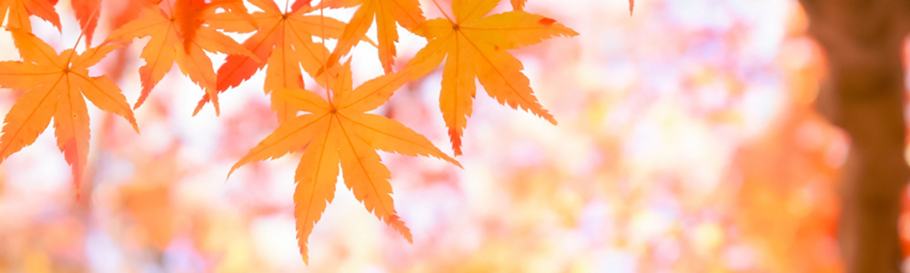 広島警備業協同組合について